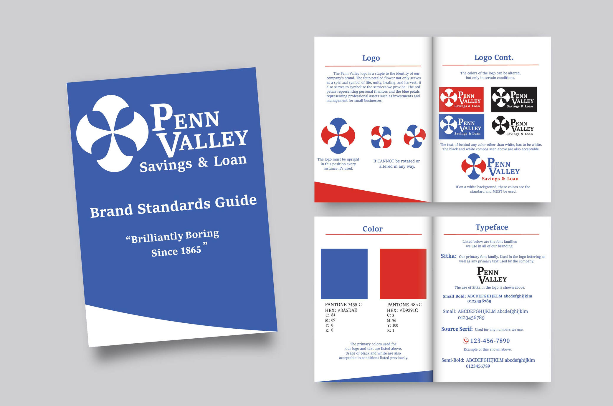 Brand Identity Project (Illustrator, 2024)