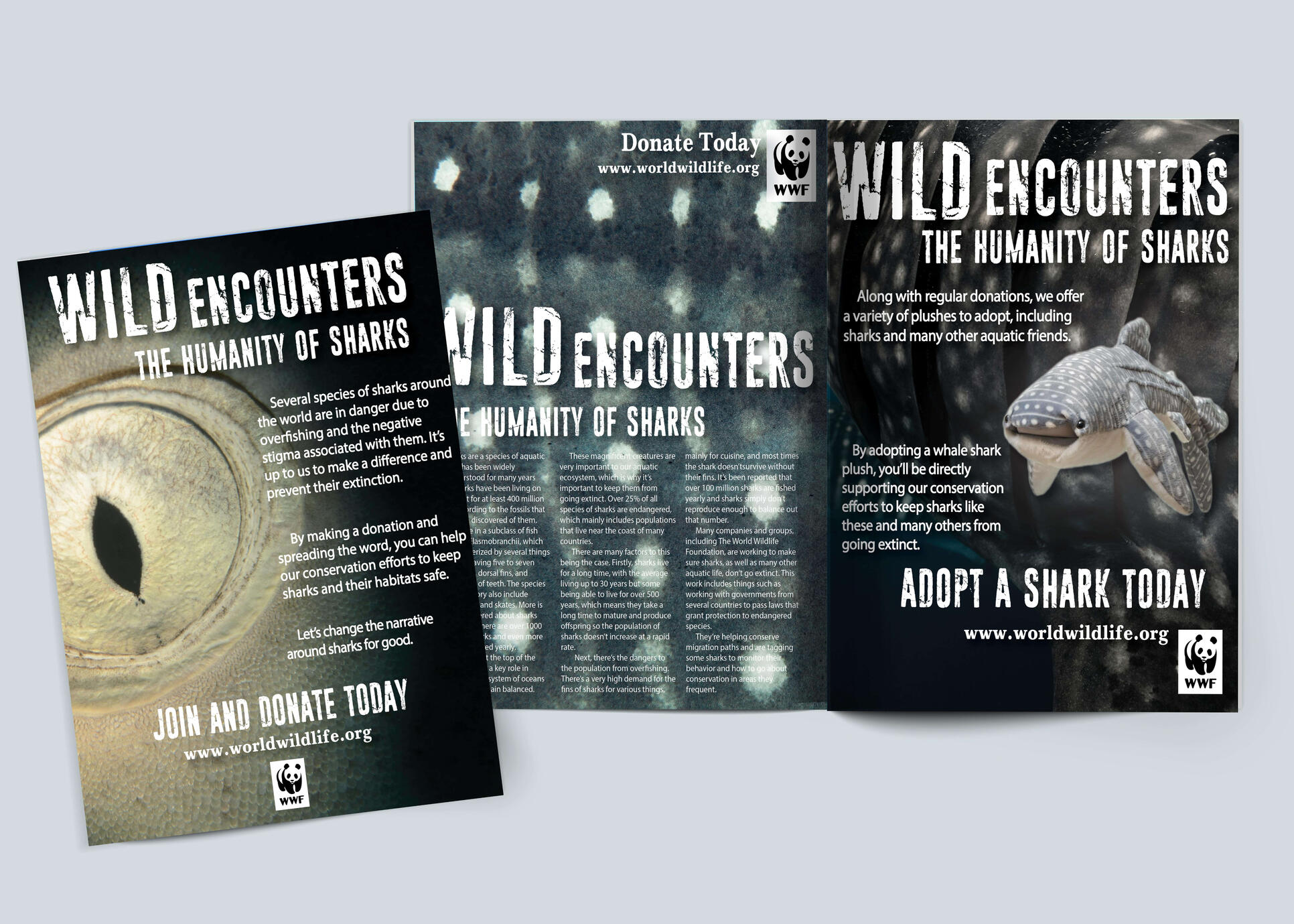 WWF Ad Spread Project (Illustrator, 2024)